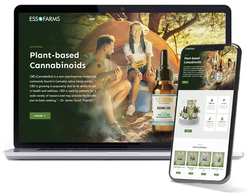 Ecommerce Websites Ecommerce Websites